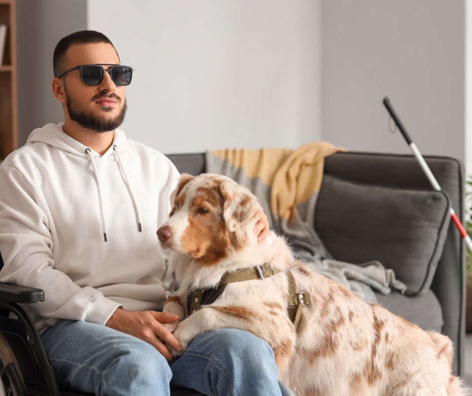 el mejor amigo del hombre