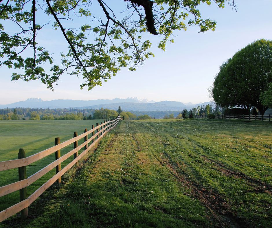 escapada rural en familia