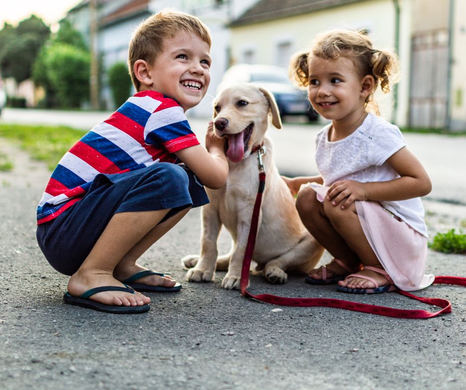 animales para tener en casa