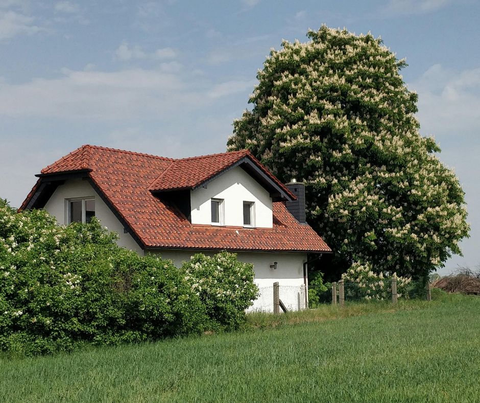 desconectar de la ciudad