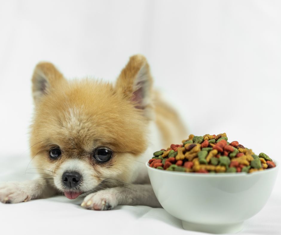 mejores comidas para perro