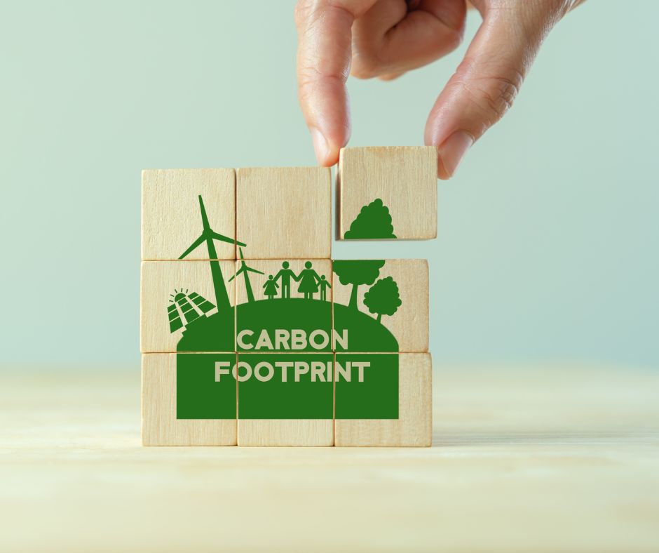 ¿Qué es la biocapacidad y por qué es tan importante para el futuro del planeta? que es la biocapacidad
