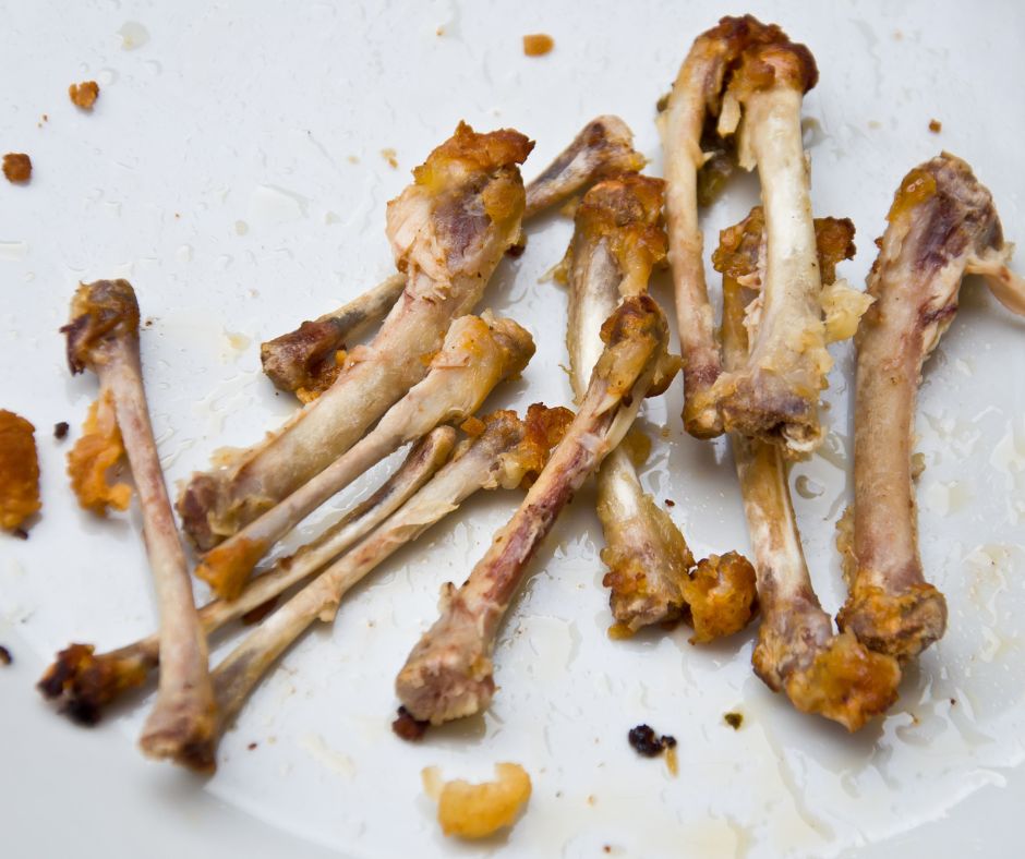 snacks naturales para perros