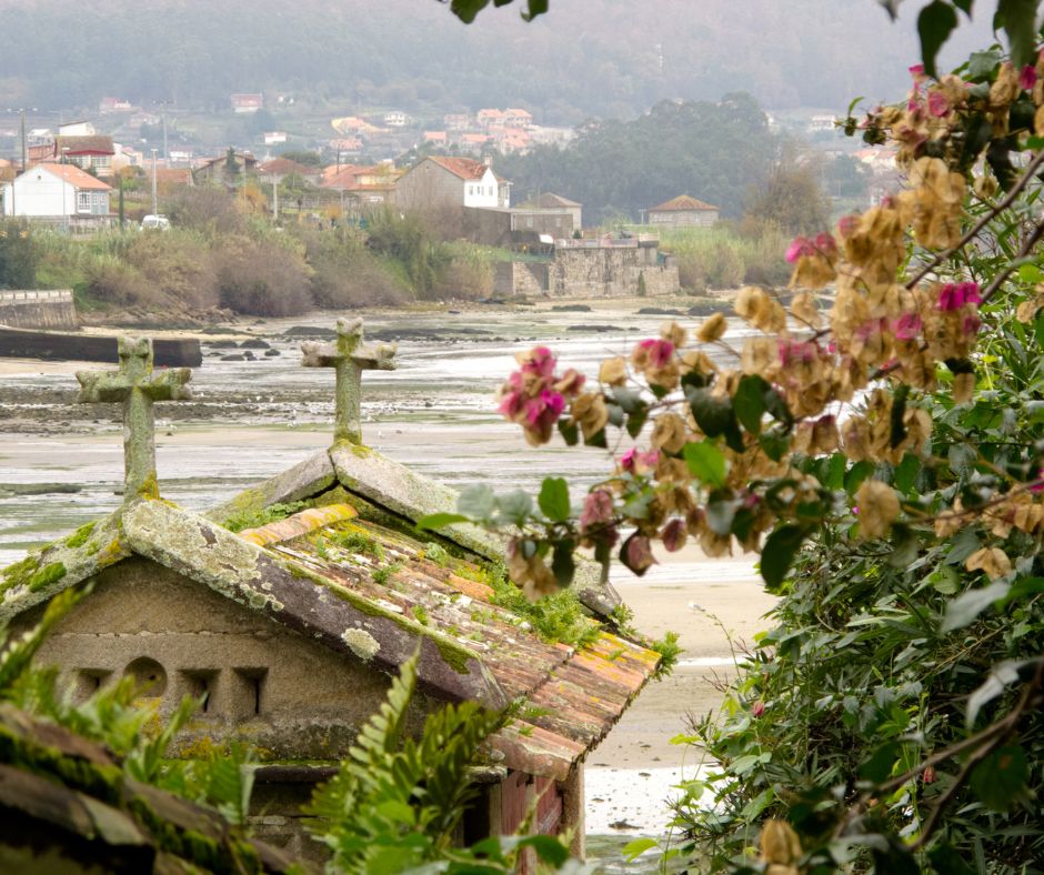 Fiordos gallegos: descubre los paisajes de la Ribeira Sacra y el Cañón del Sil fiordos gallegos