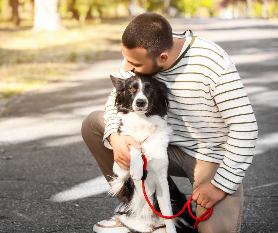 Home el mejor amigo del hombre