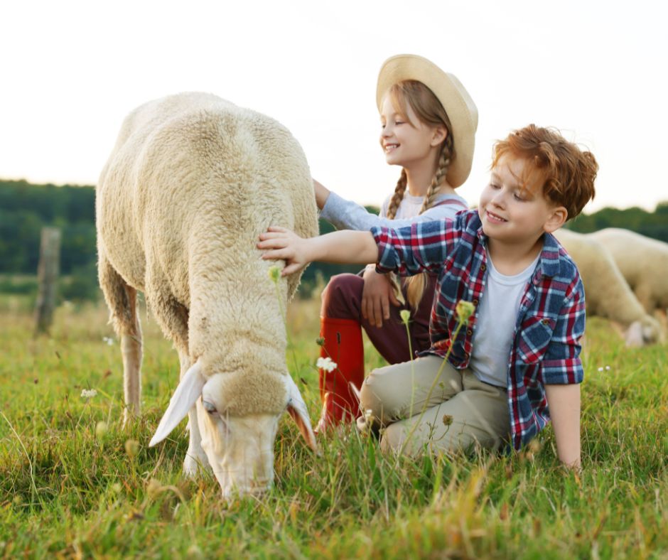 Home granja escuela para niños